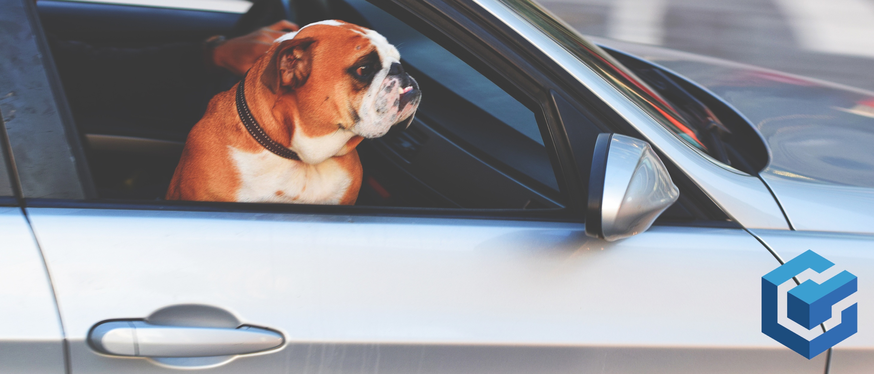 What Does Your Car Say About You? RocketLevel